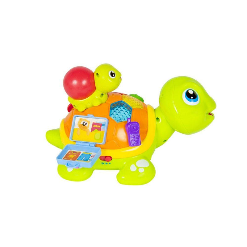 Tortuga Interactiva bebés, Hola Toys - KIDSCLUB Tienda ONLINE